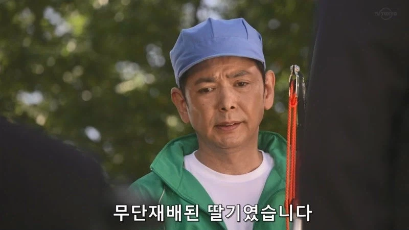 한국이 훔쳐갔다고 일본이 한결같이 말하는 과일_4.webp