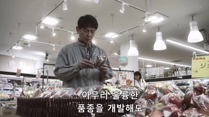 한국이 훔쳐갔다고 일본이 한결같이 말하는 과일_11.webp