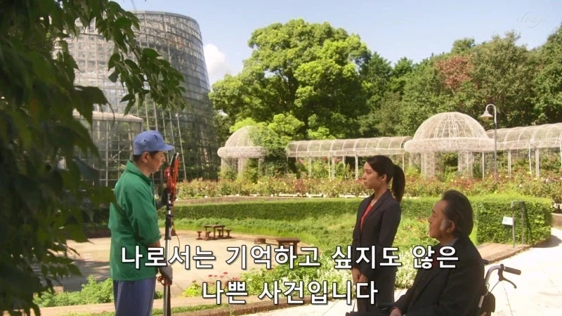 한국이 훔쳐갔다고 일본이 한결같이 말하는 과일_13.webp