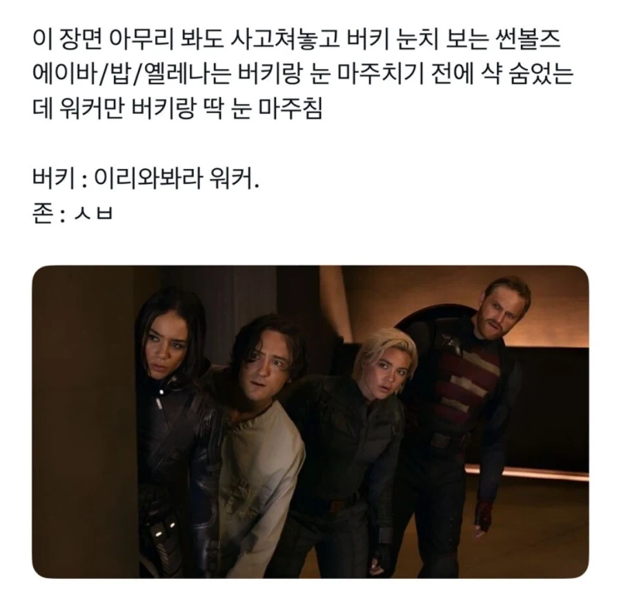 mcu) 헐리우드에서 무도 해골마크가 가장 잘 어울리는 히어로.jpg_1.webp
