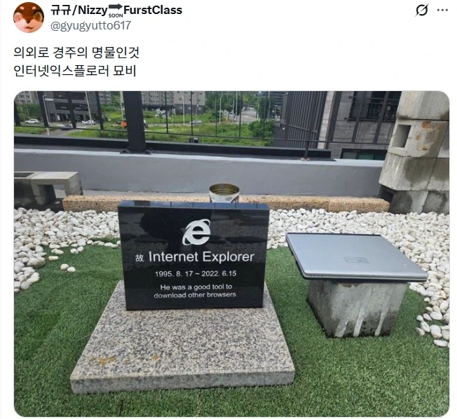경주에 있는 의외의 명물.jpg_1.webp