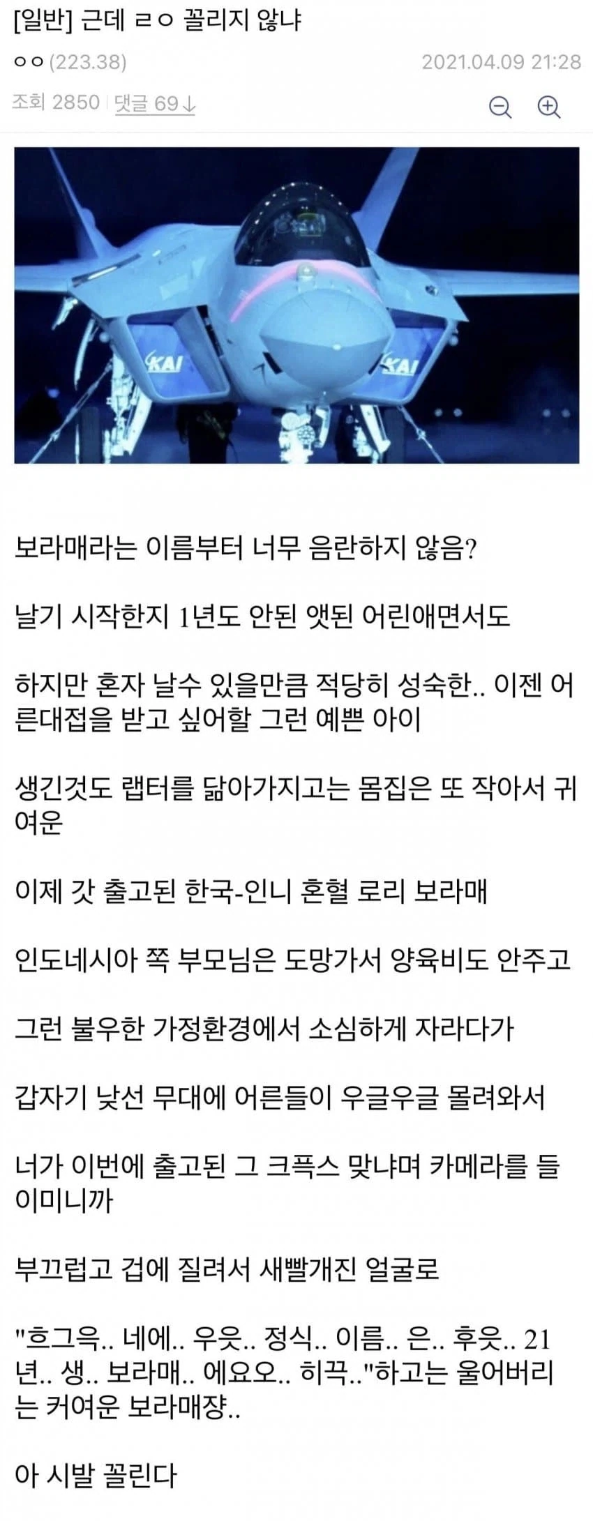 국산전투기 KF-21 보라매쟝_1.webp