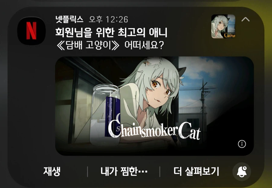 나한테 이런 것을 추천하지 말란 말이다냥!_1.webp