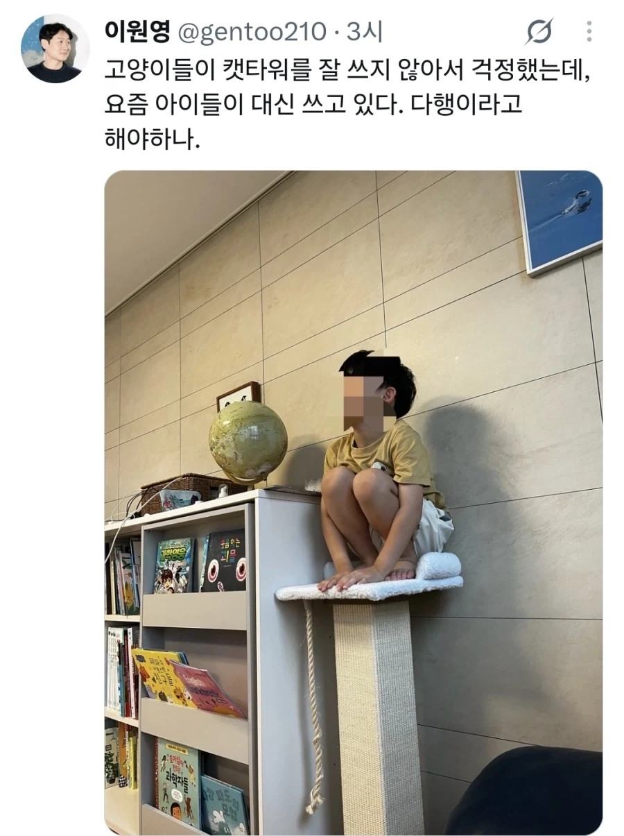 고양이들이 캣타워를 잘 쓰지 않아서 걱정했는데,_1.webp