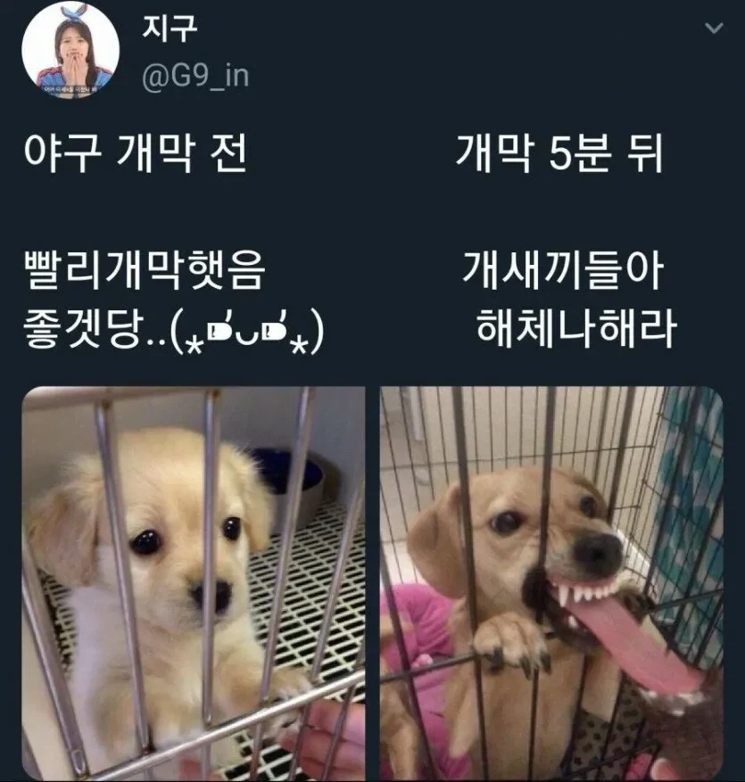이 세상에 존재하지 않는것_1.webp