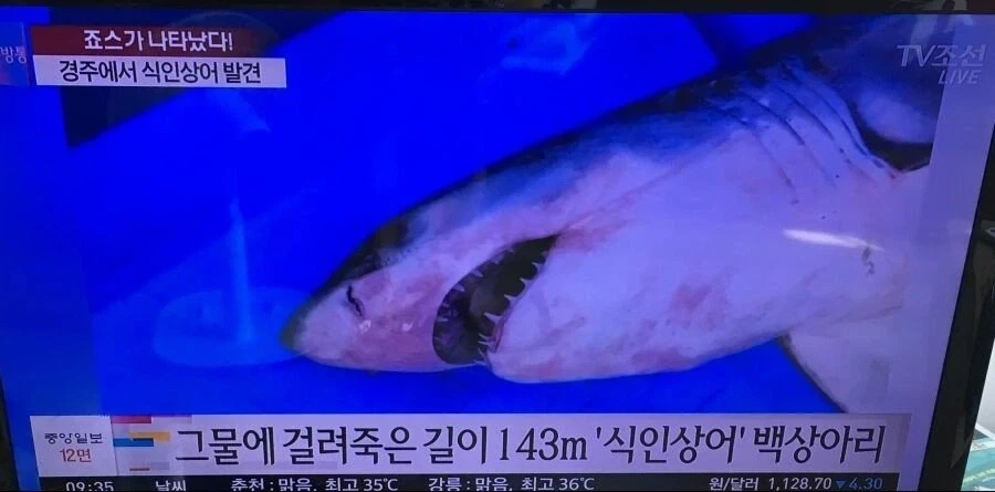 대한민국 동해안이 위험한 이유_1.webp