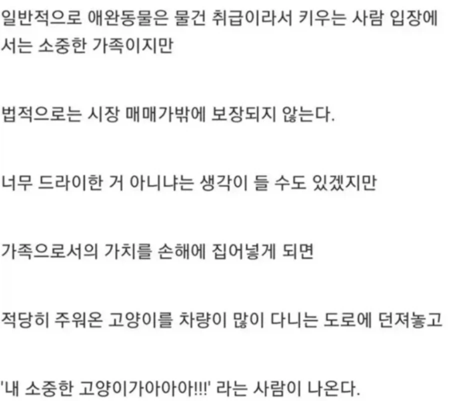반려동물이 법적으로는 물건 취급 받는 이유_1.webp