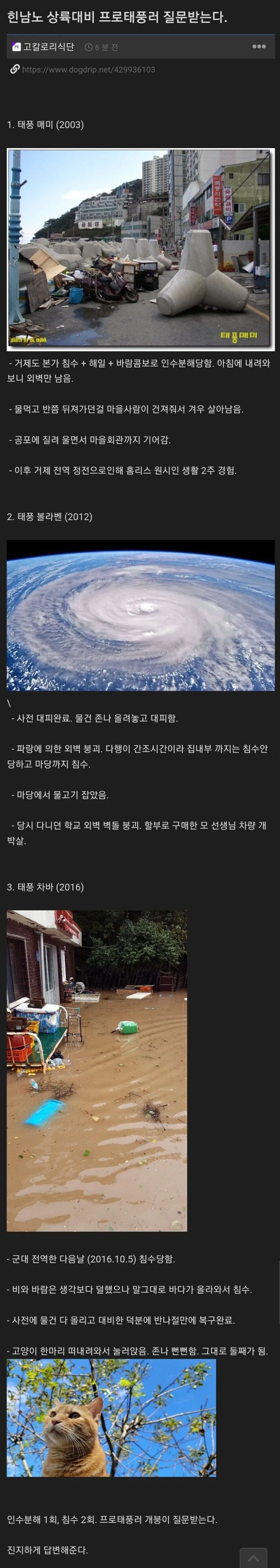 거제도 프로태풍러_1.webp