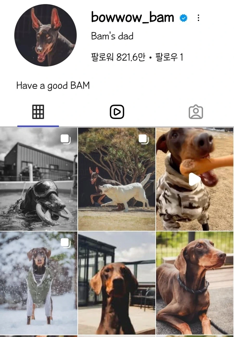 비겁하게 팩트를 말하다니_2.webp