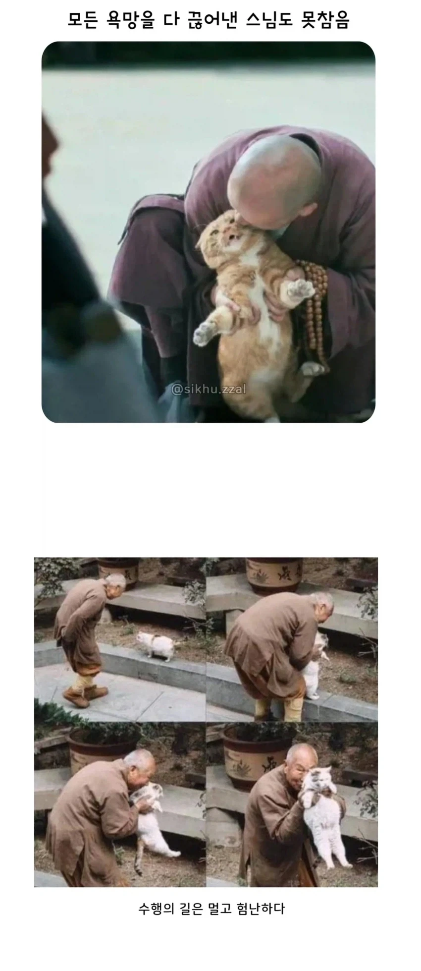 수행을 항상하는 스님도 못참는 것_1.webp