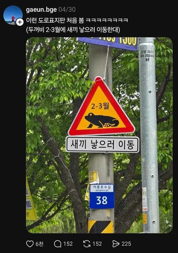 새끼 낳으러 이동_1.webp