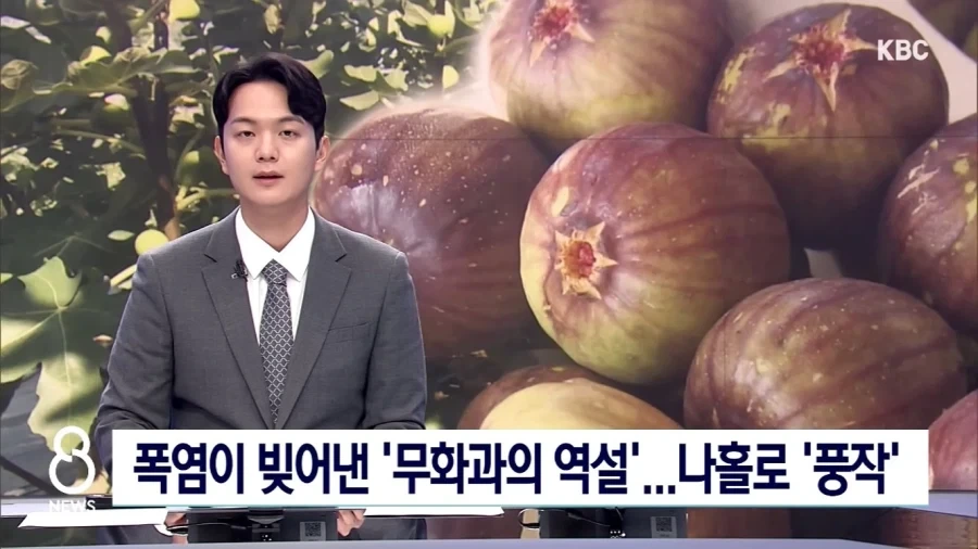 폭염 속에서 풍작을 이뤄낸..._1.webp