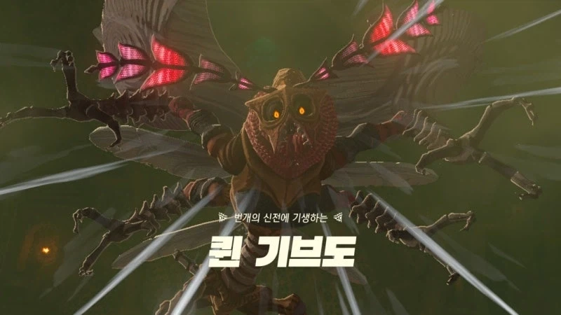젤다 야숨이랑 왕눈 해보고 느낀거_2.webp