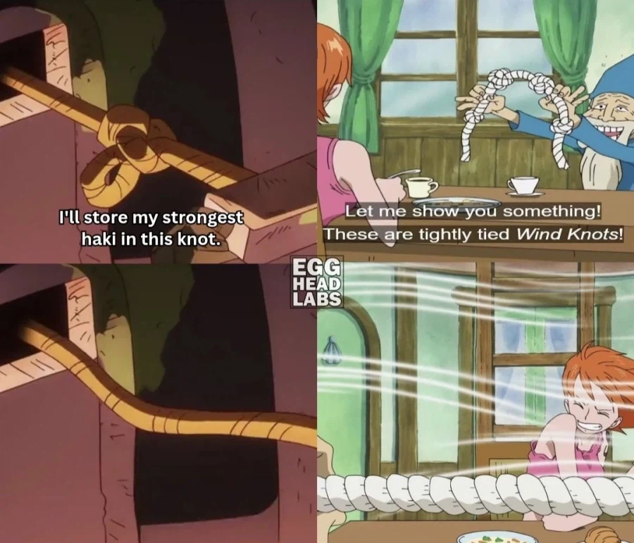 원피스 작가가 넣어준 소소한 셀프 오마주들_4.webp