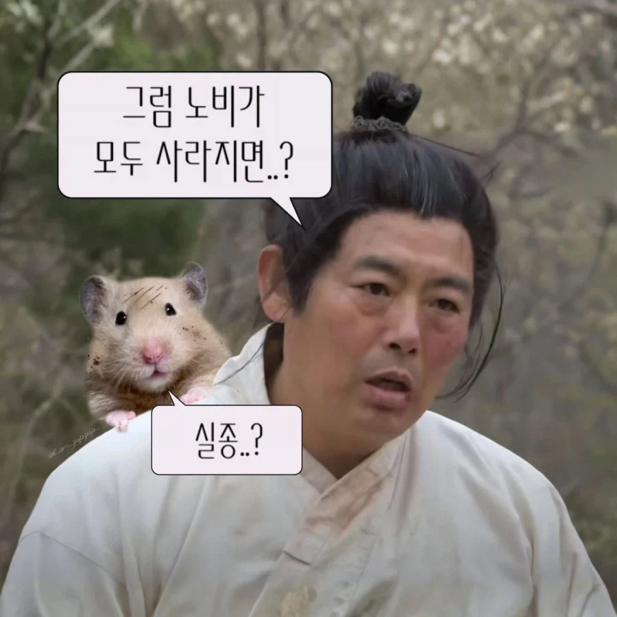 노비가 하늘을 날면?.jpg_7.webp