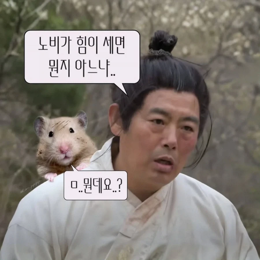 노비가 하늘을 날면 뭔지 아느냐?_5.webp