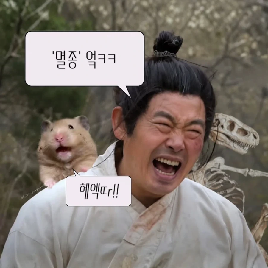 노비가 하늘을 날면 뭔지 아느냐?_8.webp