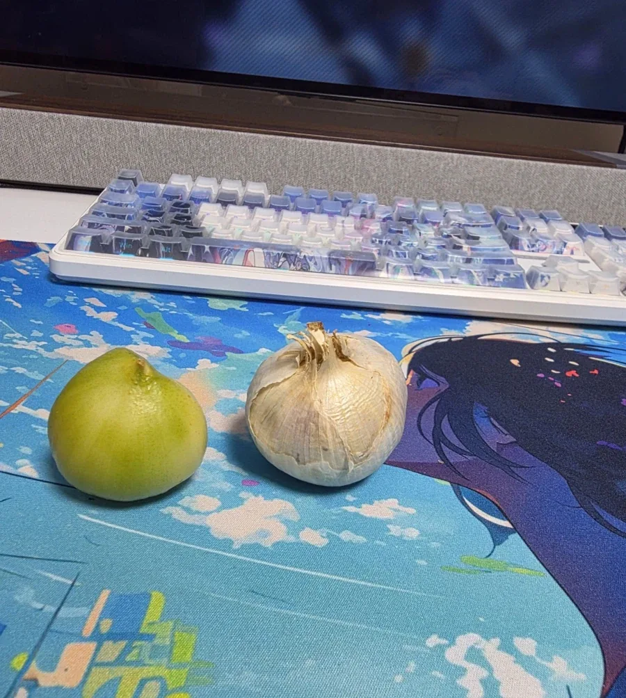 마늘을 얻어왔는데 크기가.._1.webp