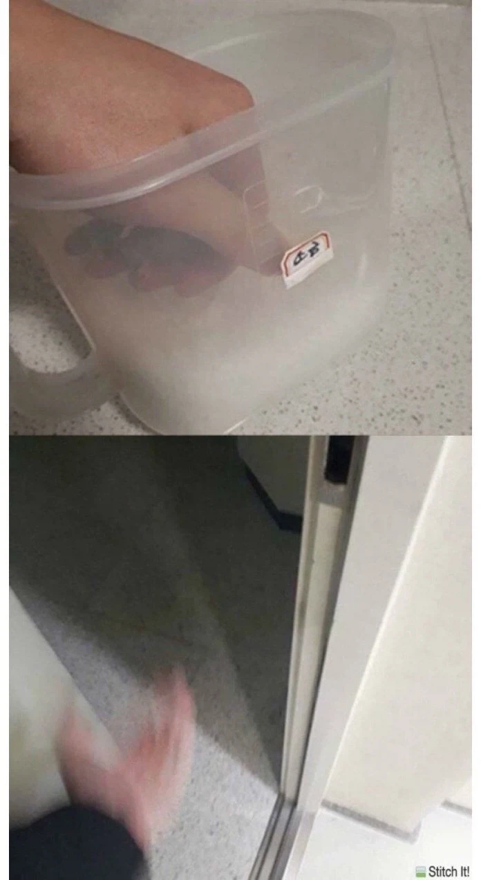 편의점 신상품 사먹어 본 후기_4.webp