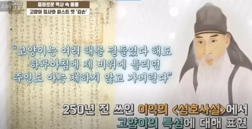 조선시대에도 ㅈ냥이는 ㅈ냥이라고 한다_1.webp