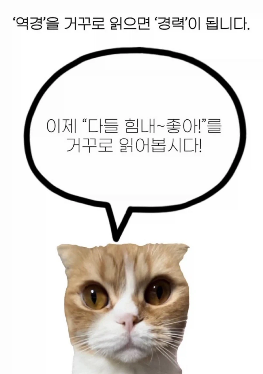 역경을 거꾸로 읽으면 경력이 됩니다_1.webp