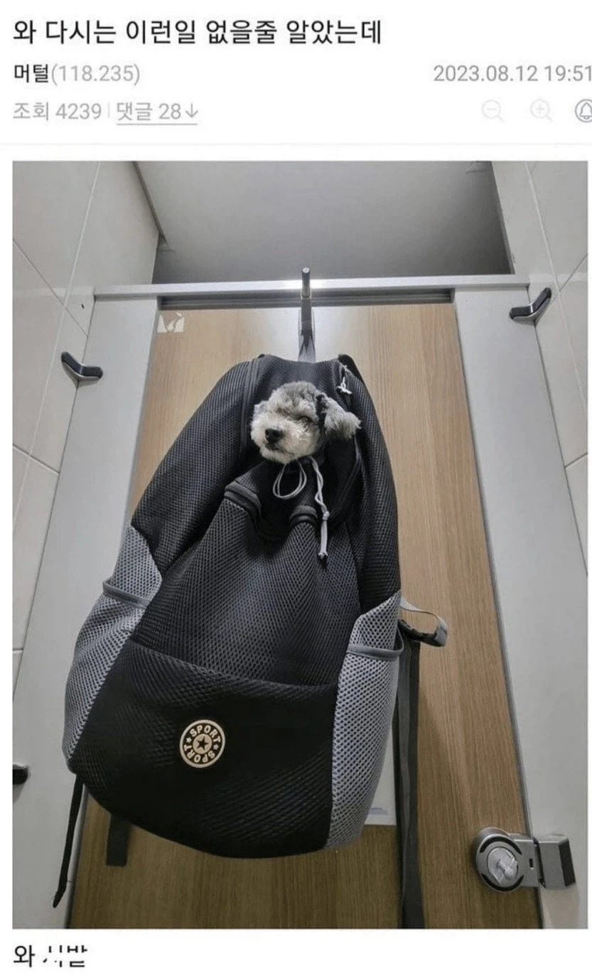 산책 급똥 후기의 후기.jpg_2.webp