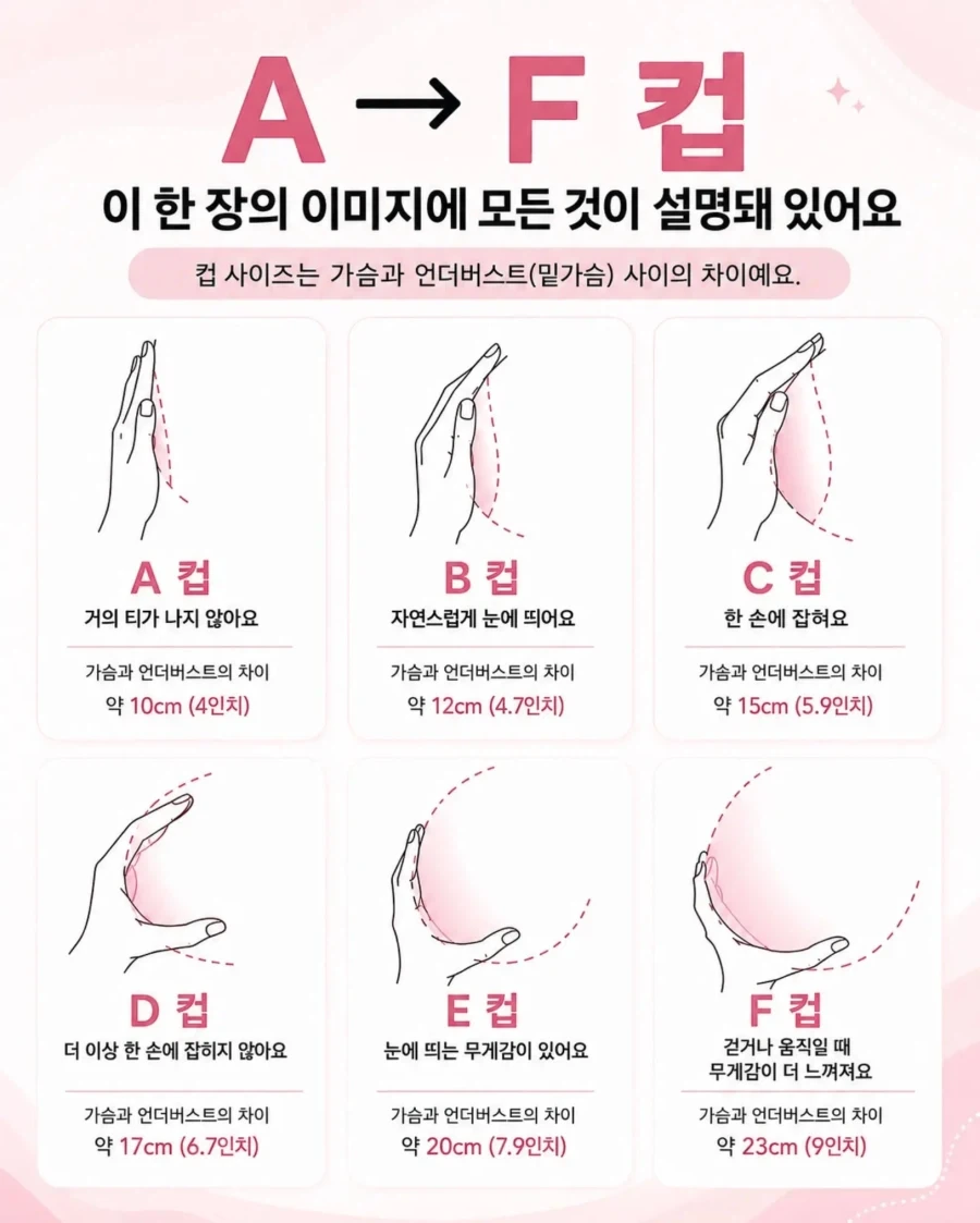 나는 c컵이 좋음_1.webp