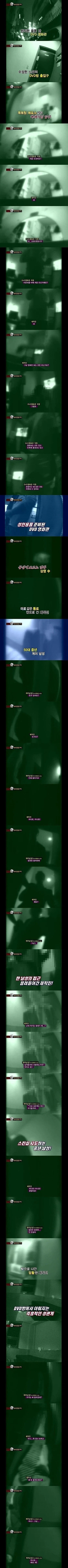 게이 dvd방 취재_1.webp