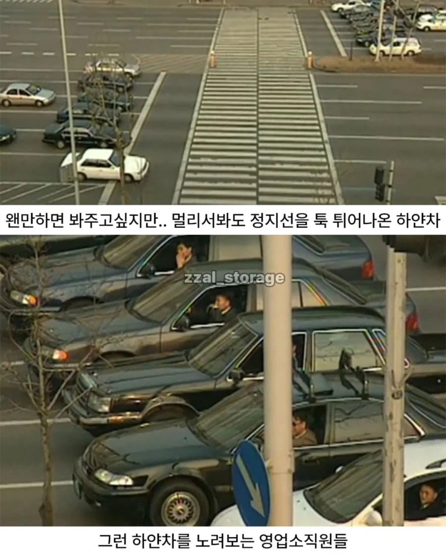 냉장고를 타기 위한 처절한 노력_12.webp