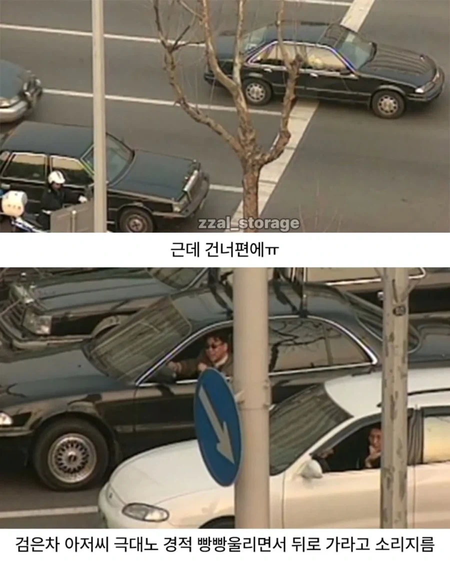 냉장고를 타기 위한 처절한 노력_14.webp