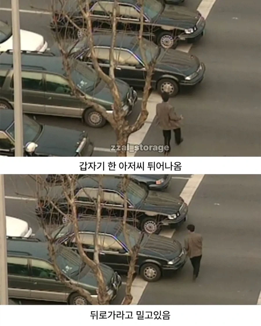 냉장고를 타기 위한 처절한 노력_15.webp