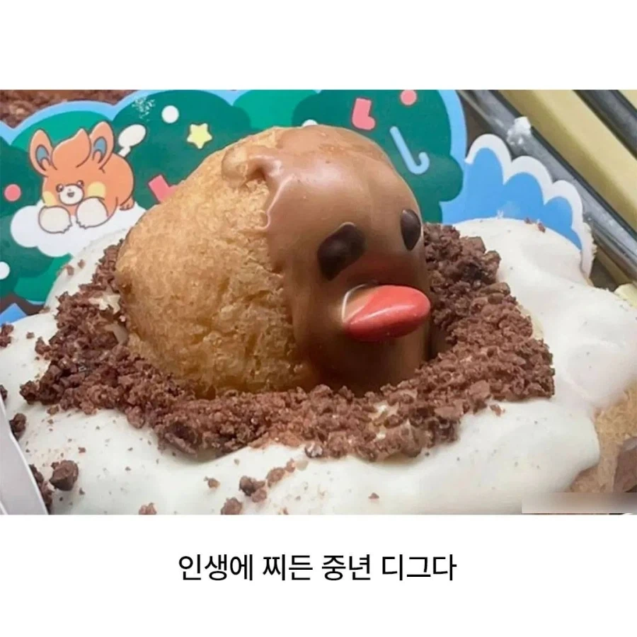 디..그..다.. 디..그..다.._6.webp
