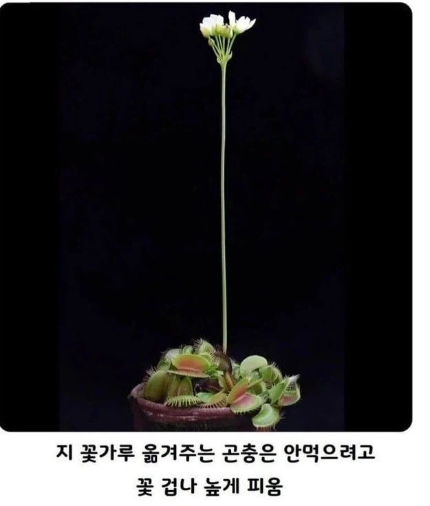 먹을 것보다는 ㅅㅅ가 더 중요함_1.webp
