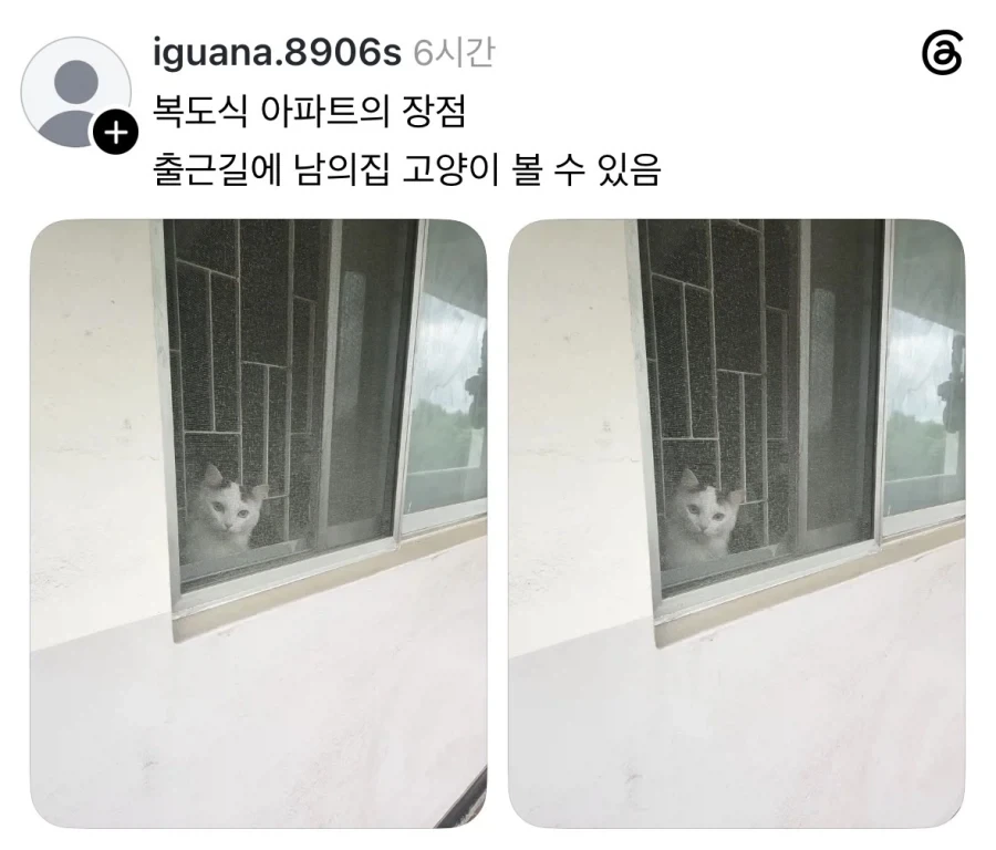 복도식 아파트의 장점.webp_1.webp