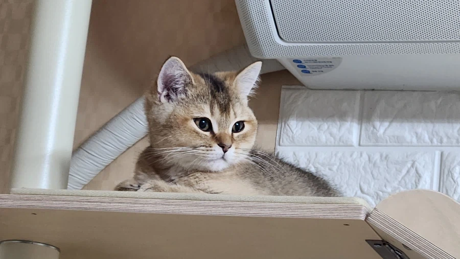별거없는_2.webp