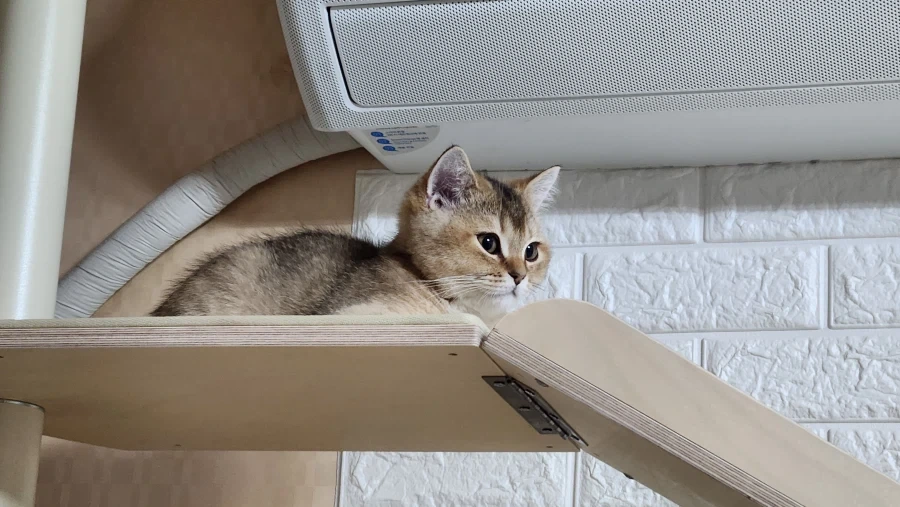 별거없는_9.webp