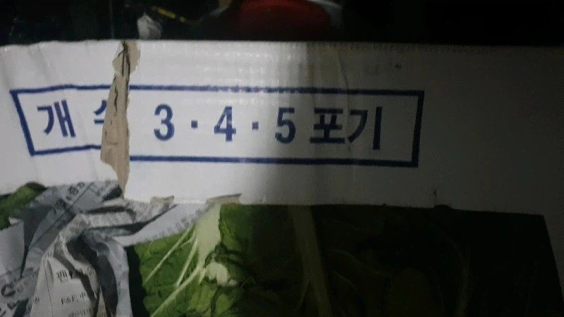 숫자 5까지밖에 못세는 바보_1.webp
