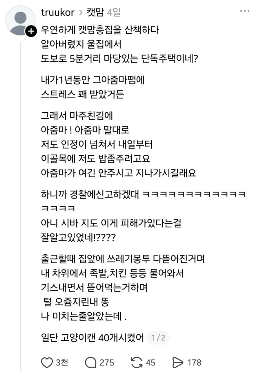 그들의 방식으로 캣맘을 토벌한 용자.jpg_1.webp