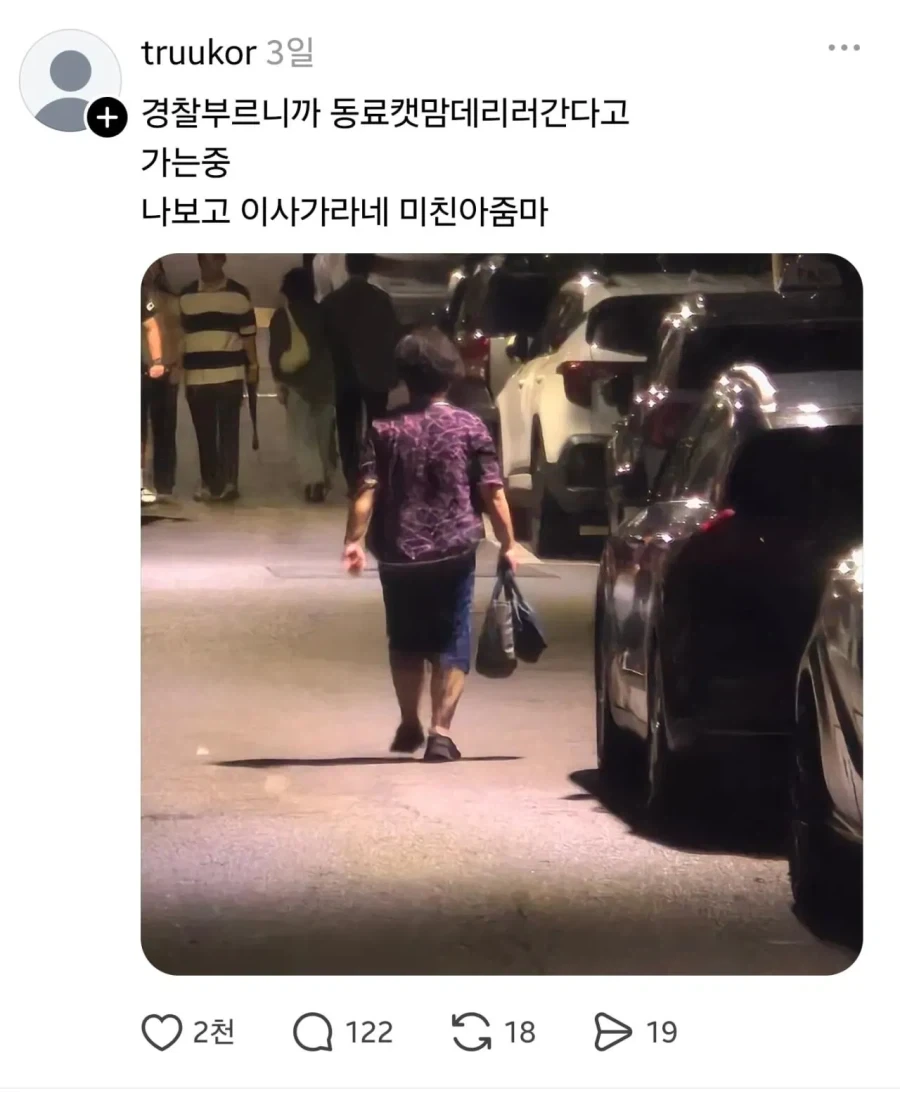 그들의 방식으로 캣맘을 토벌한 용자.jpg_3.webp