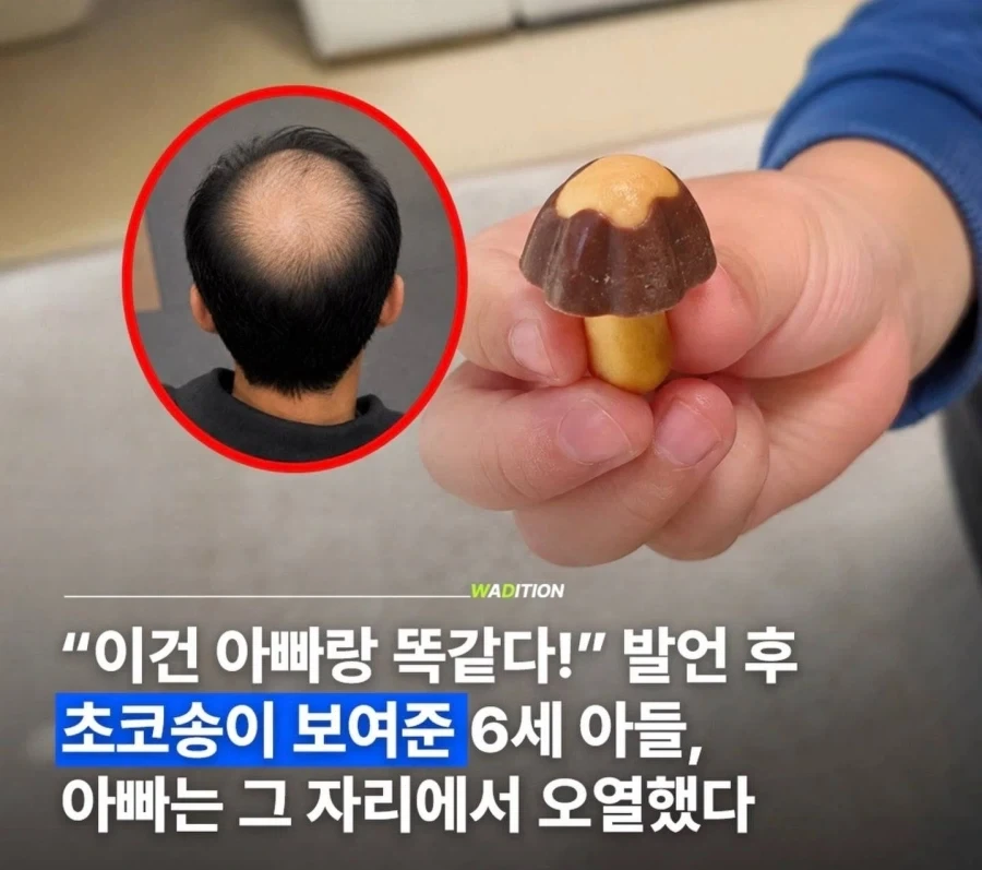 성악설이 맞다는 증거_1.webp