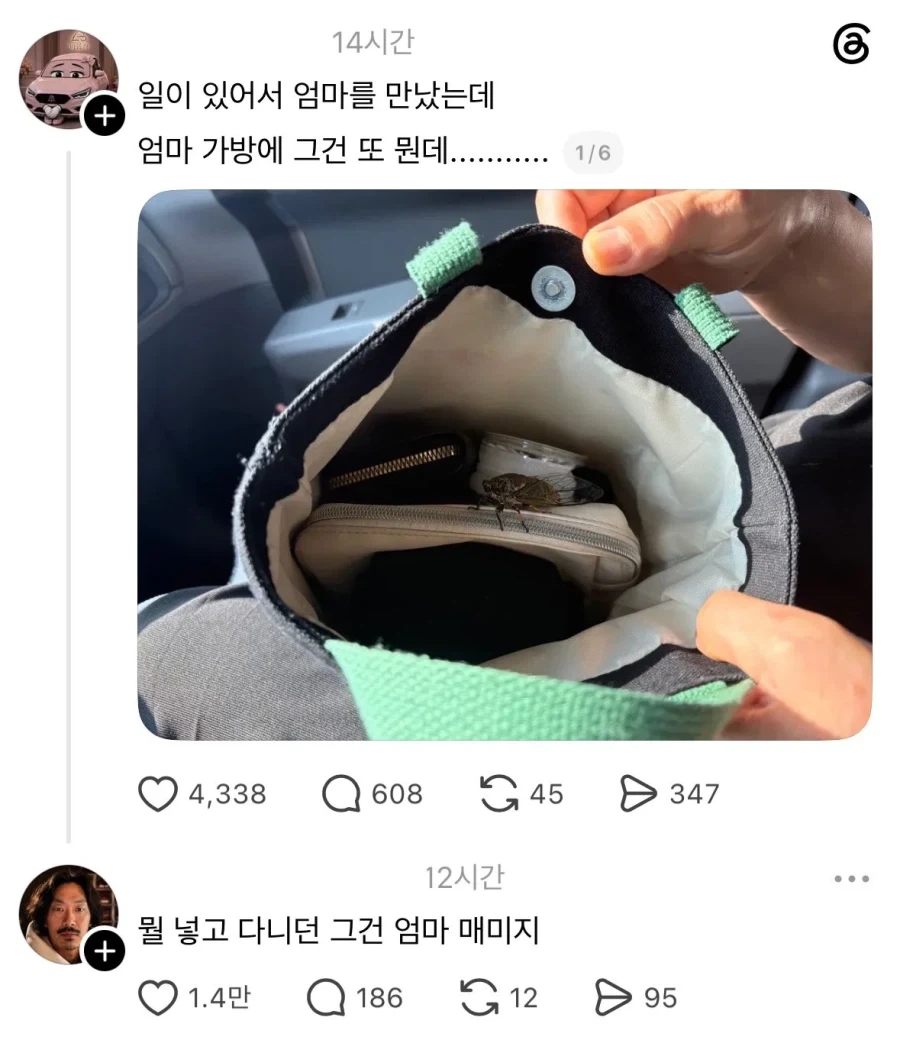 엄마 가방에 매미가 나왔을때 하는말_1.webp