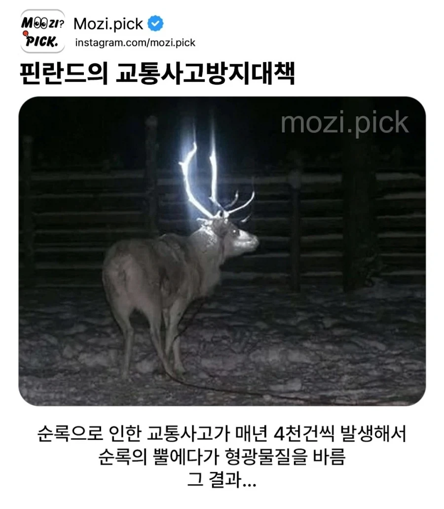 핀란드의 교통사고 방지 대책_1.webp