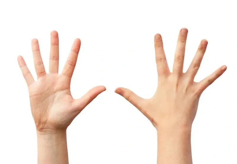 손가락은 영어로 핑거._1.webp
