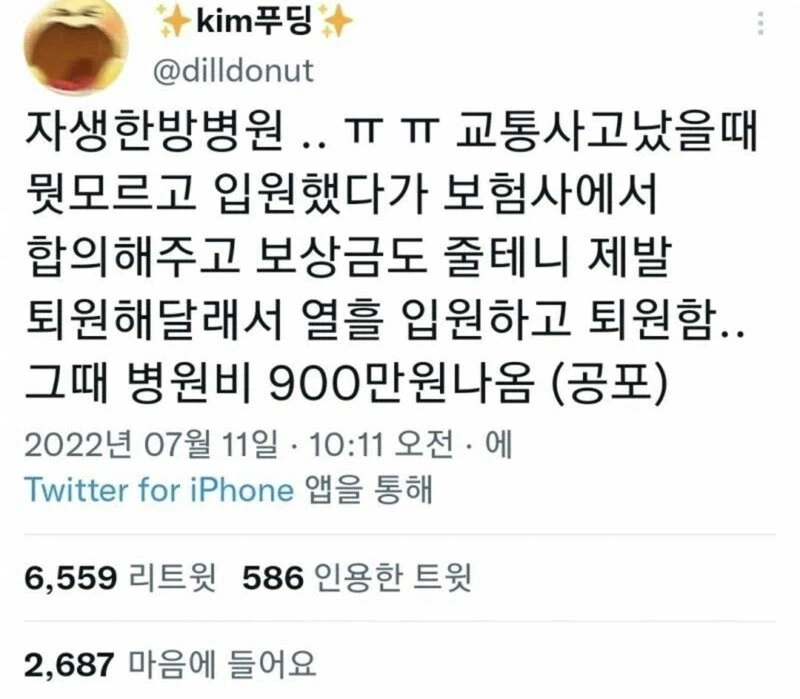 교통사고를 당한 한의사.jpg_4.webp