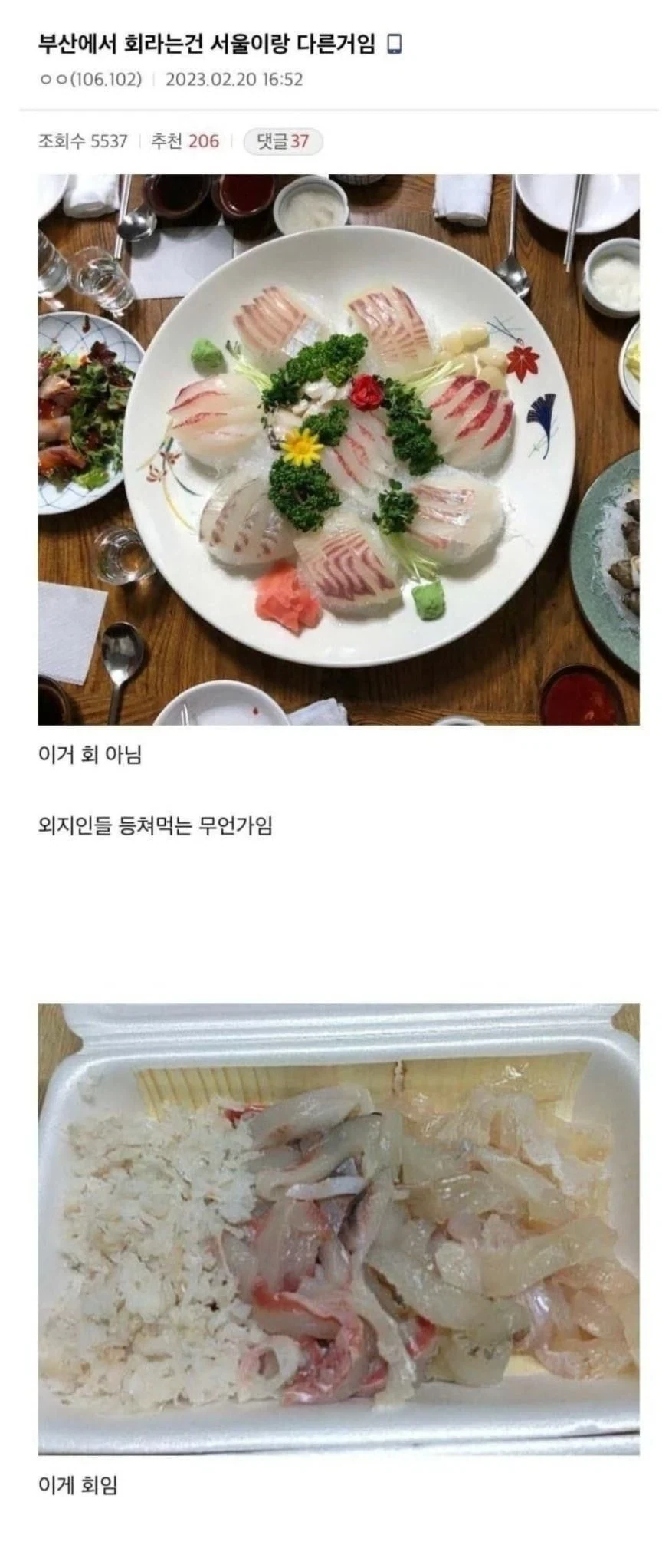 부산사람들이 생각하는 회_1.webp