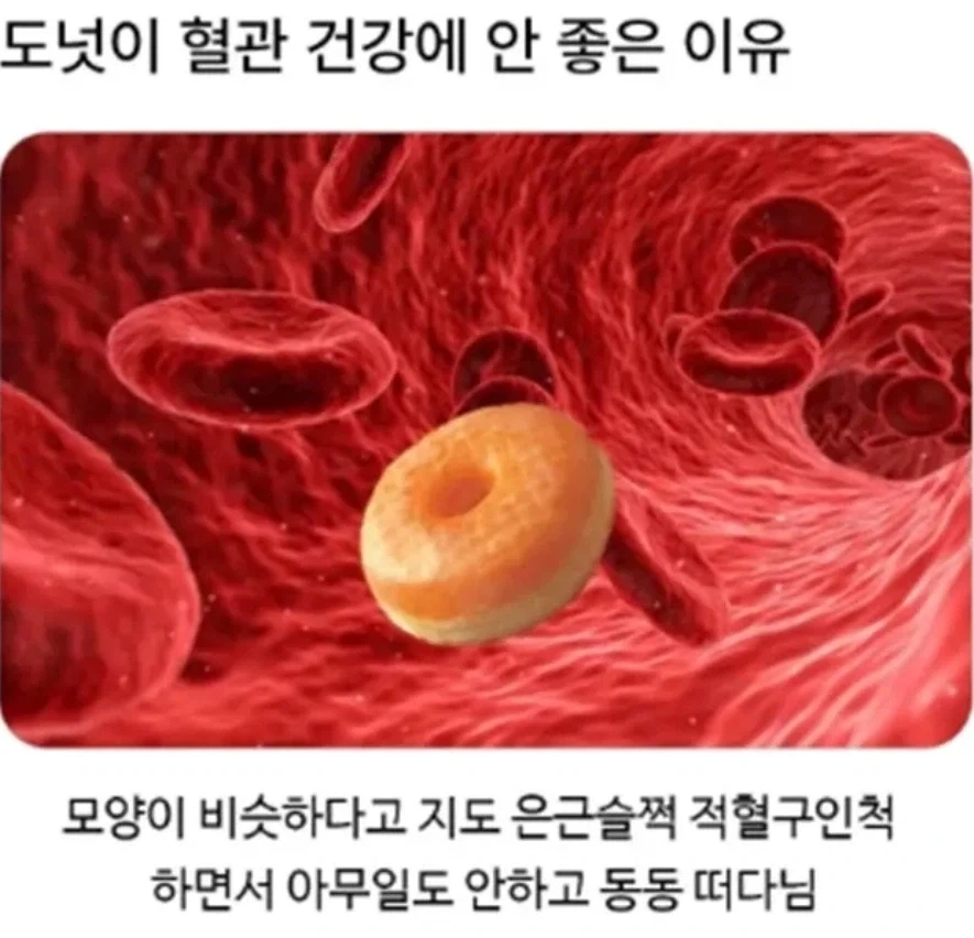 도넛이 혈관 건강에 안 좋은 이유_1.webp