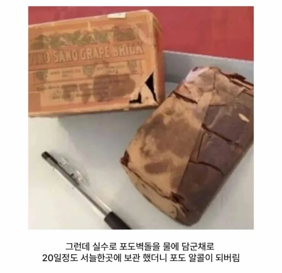 100년 전 대실패한 미국의 발명품_2.webp