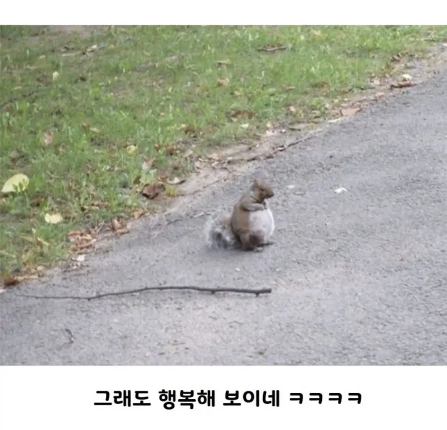 땅콩트럭이 전복되었다_4.webp