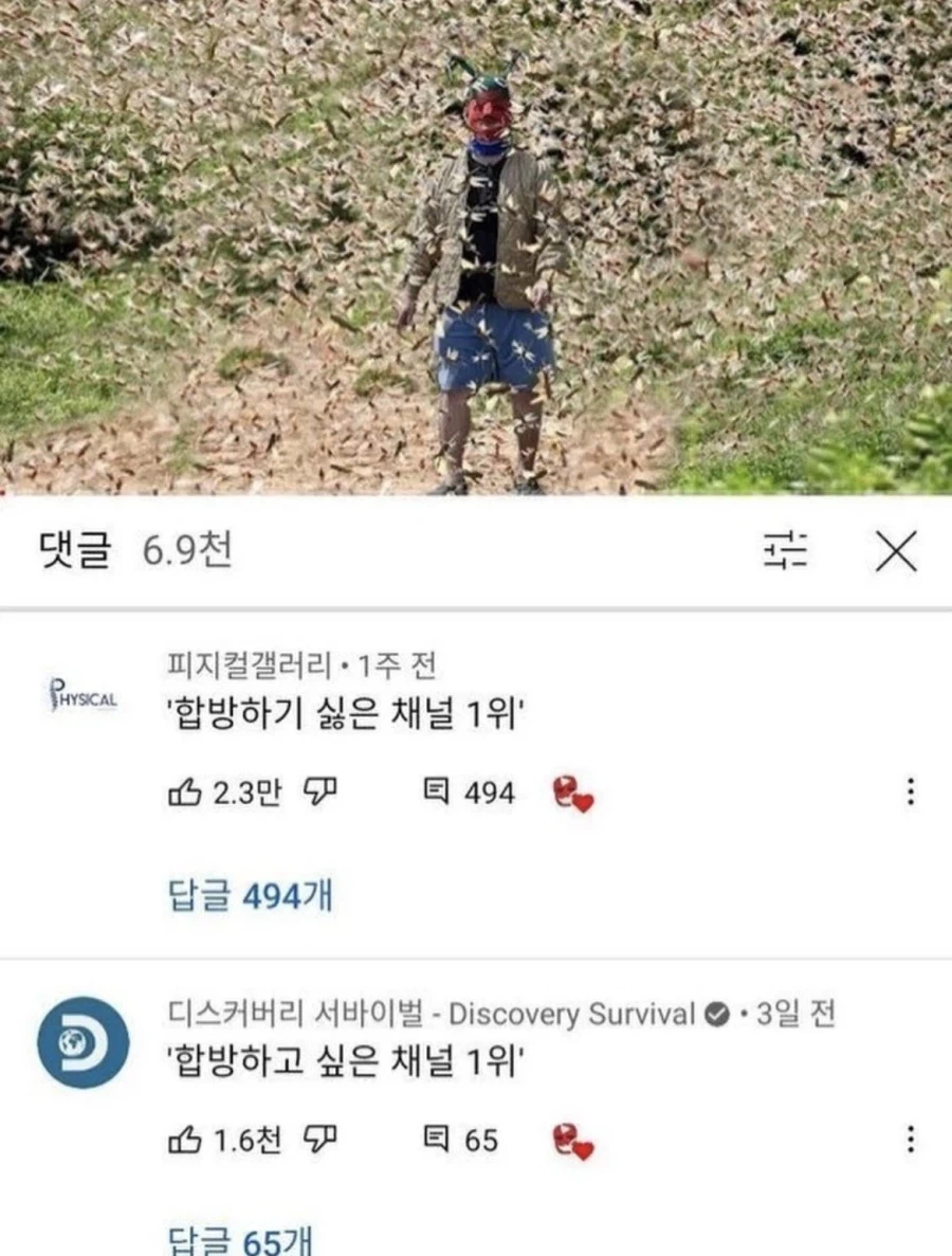 뭐가됐든 시청자는 개꿀.jpg_1.webp