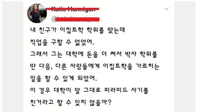전통적인 피라미드 사기 수법.jpg_1.webp